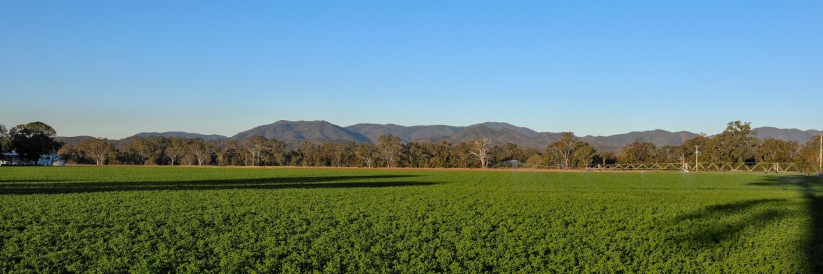 Gladstone Land Faces Dividend Sustainability Challenges (LAND)